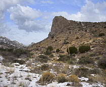 Florida Mountains, Rockhound State Park, New Mexico