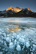 Mountains and frozen gas bubbles beneath surface of frozen lake, Abraham Lake, Canadian Rockies, Alberta, Canada