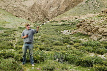 Snow Leopard (Panthera uncia) biologist, Shannon Kachel, using telemetry to check if any snare traps used for collaring were triggered, Pikertyk, Tien Shan Mountains, eastern Kyrgyzstan