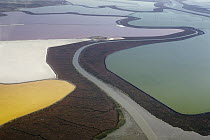 Tidal channel with sliver of remaining salt marsh between salt ponds, Fremont, Bay Area, California