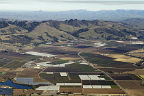 Agricultural land encroaching on natural habitat, Monterey Bay, California