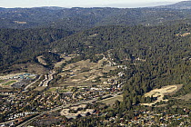 Urban sprawl encroaching on coniferous forest, Scotts Valley, California