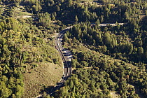Highway acting as a barrier for wildlife, Laurel Curve, Highway 17, Santa Cruz Mountains, Monterey Bay, California