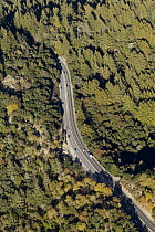 Highway acts as a barrier for wildlife, Highway 17, Santa Cruz Mountains, Monterey Bay, California