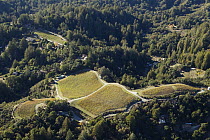 Agricultural land surrounded by natural habitat, Santa Cruz Mountains, Monterey Bay, California