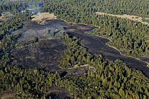 Controlled burn to maintain grasslands, Wilder Ranch State Park, Monterey Bay, California
