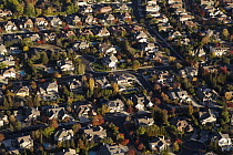 Houses in suburban development, Bay Area, California