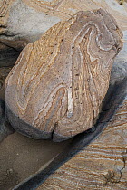 Rock patterns, Glenn Springs, Big Bend National Park, Texas