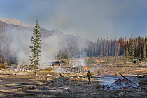 Campground being cleared of dead trees, killed by beetles, Rocky Mountain National Park, Colorado