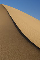 Sand dune, Mesquite Flat Sand Dunes, Death Valley National Park, California