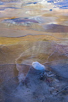 Ice on the Virgin River, Zion National Park, Utah