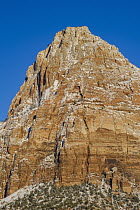 Bridge Mountain, Zion National Park, Utah