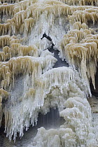 Frozen waterfall on the Virgin River, Zion National Park, Utah