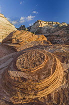 Sandstone formations, Zion National Park, Utah