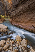 Virgin River, Zion National Park, Utah