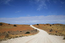 Dirt road, Kgalagadi Transfrontier Park, South Africa