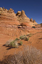 Sandstone rock formations, Vermilion Cliffs National Monument, Colorado Plateau, Utah