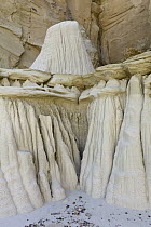 Sandstone pinnacles, Grand Staircase-Escalante National Monument, Utah