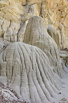 Sandstone pinnacles, Grand Staircase-Escalante National Monument, Utah