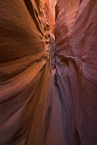 Red sandstone walls of narrow slot canyon, Grand Staircase-Escalante National Monument, Utah
