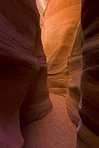 Red sandstone walls of slot canyon, Grand Staircase-Escalante National Monument, Utah