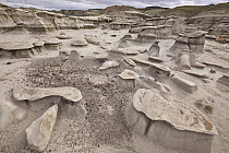 Toadstool hoodoo sandstone rock formations, Bisti Wilderness Area, New Mexico