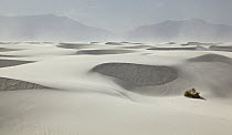 White gypsum sand dunes, White Sands National Park, New Mexico