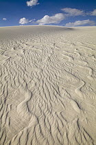 Ripples in white gypsum sand dunes, White Sands National Park, New Mexico