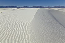 Gypsum sand dunes, White Sands National Park, New Mexico