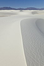 Gypsum sand dunes, White Sands National Park, New Mexico