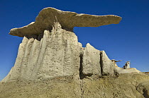 Mushroom hoodo sandstone rock formations, Bisti Wilderness Area, New Mexico