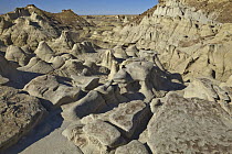 Sandstone rock formations, Bisti Wilderness Area, New Mexico