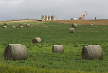 Pumpjack surrounded by farm fields, Williston Basin, North Dakota