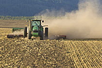 Wheat (Triticum sp) field being plowed, Idaho