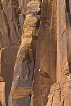 Climber climbing rock, Indian Creek, Utah