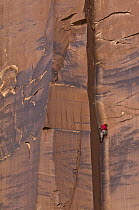 Climber climbing rock, Indian Creek, Utah