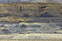 Eroded sandstone rock formations, Henry Mountains, Utah