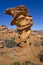Sandstone rock formation, Vermilion Cliffs National Monument, Colorado Plateau, Utah