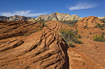 Sandstone rock formations, Snow Canyon State Park, Utah
