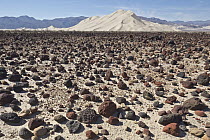 Sand dunes and scattered rocks, Death Valley National Park, California