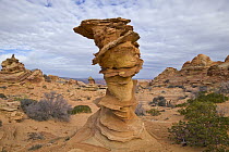 Sandstone rock formation, Vermillion Cliffs National Monument, Arizona