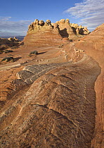 Sandstone rock formations, Vermillion Cliffs National Monument, Arizona