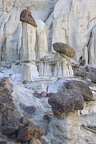 Toadstool hoodoo sandstone rock formations, Grand Staircase-Escalante National Monument, Utah