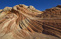 Eroded sandstone, Vermillion Cliffs National Monument, Arizona