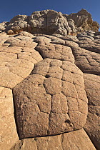 Eroded sandstone, Vermillion Cliffs National Monument, Arizona