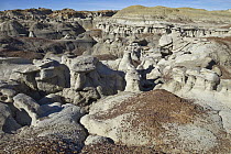 Sandstone rock formations, Bisti Wilderness Area, New Mexico