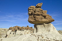 Rock formation, Bisti Wilderness Area, New Mexico