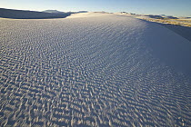 Gypsum sand dune, White Sands National Park, New Mexico