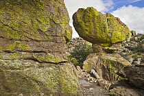 Rock formations, Chiricahua National Monument, Arizona