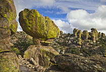Rock formations, Chiricahua National Monument, Arizona